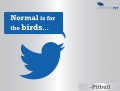 Normal is for the birds... 